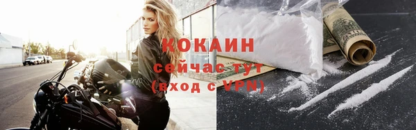 гидра Абаза