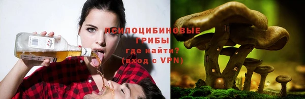 a pvp Алексеевка