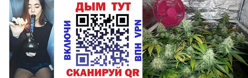 Бошки марихуана планчик  Тамбов 